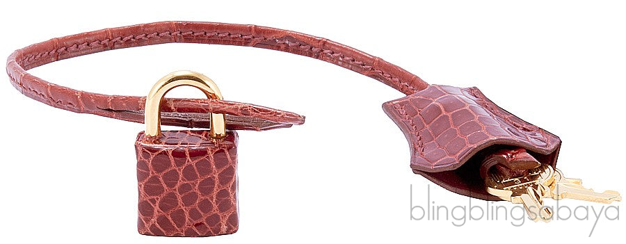 Birkin 35 Tricolor Crocodile Ltd. Ed.