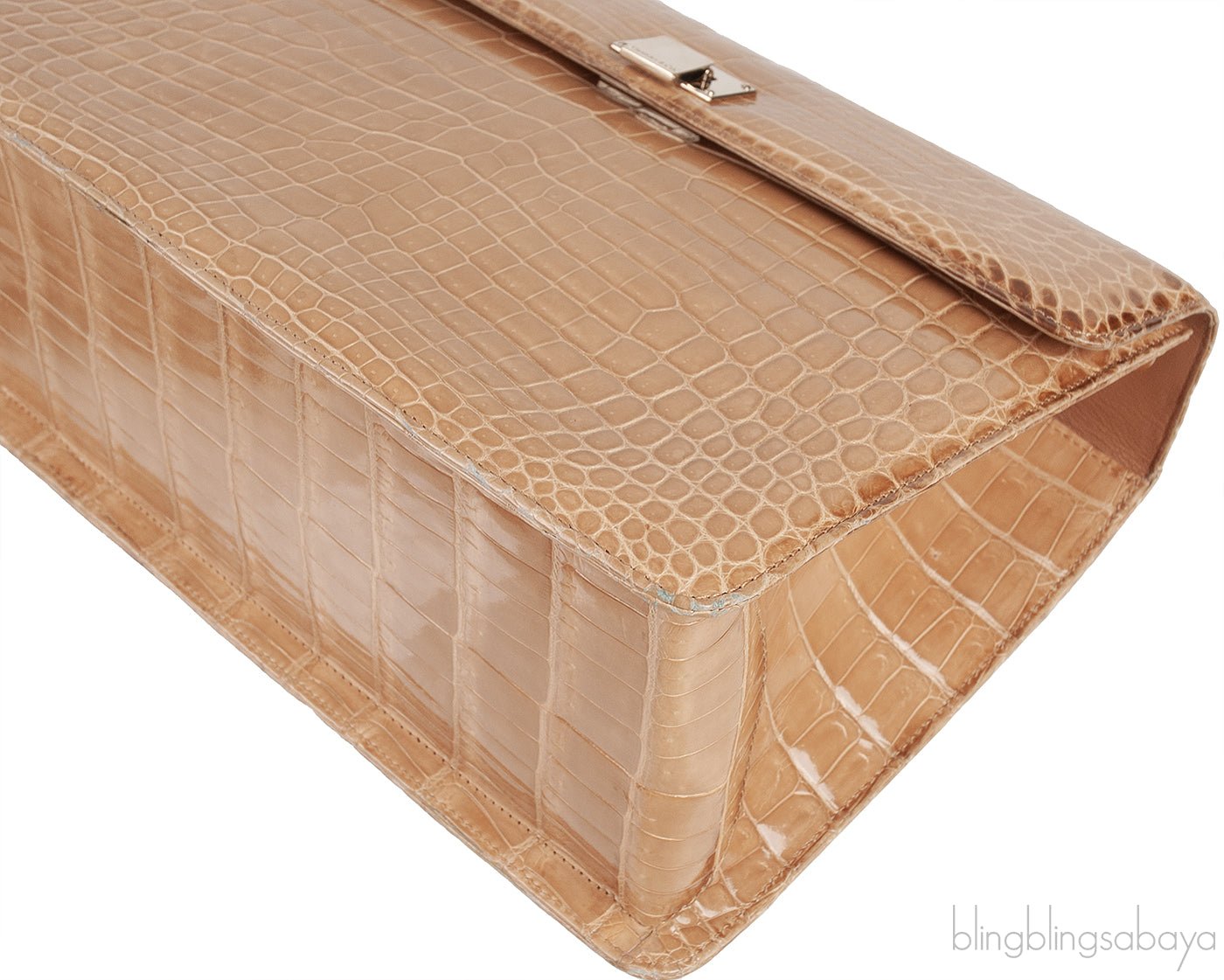 Beige Cornelia Lunch Box Crocodile Bag