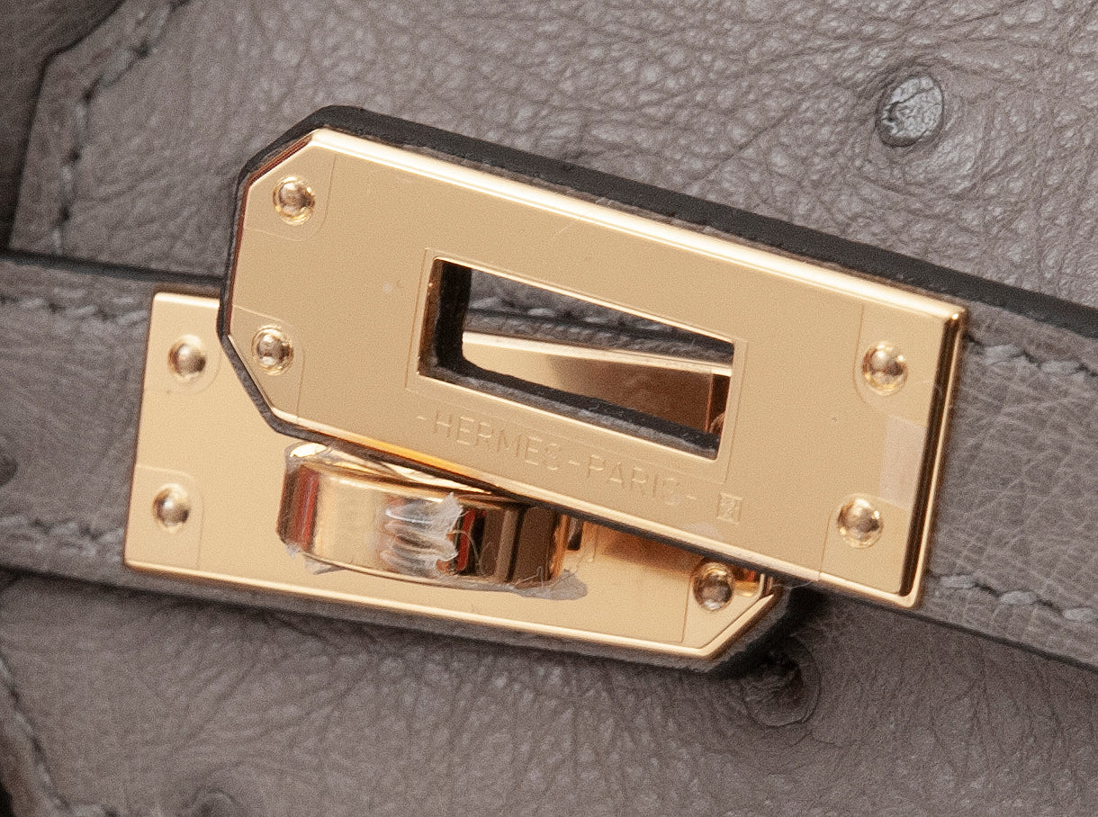 Hermes Special Order Birkin 25 Gris Tourterelle Ostrich and Toffee GHW