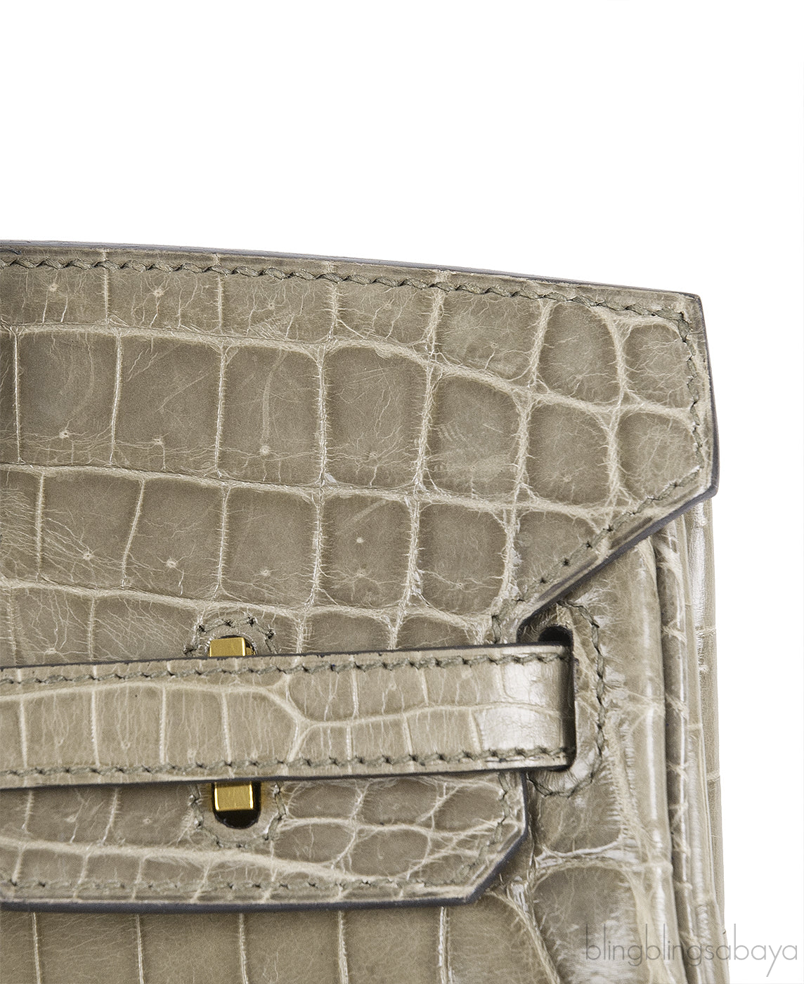 Hermes Birkin 25 Gris Tourterelle Crocodile GHW