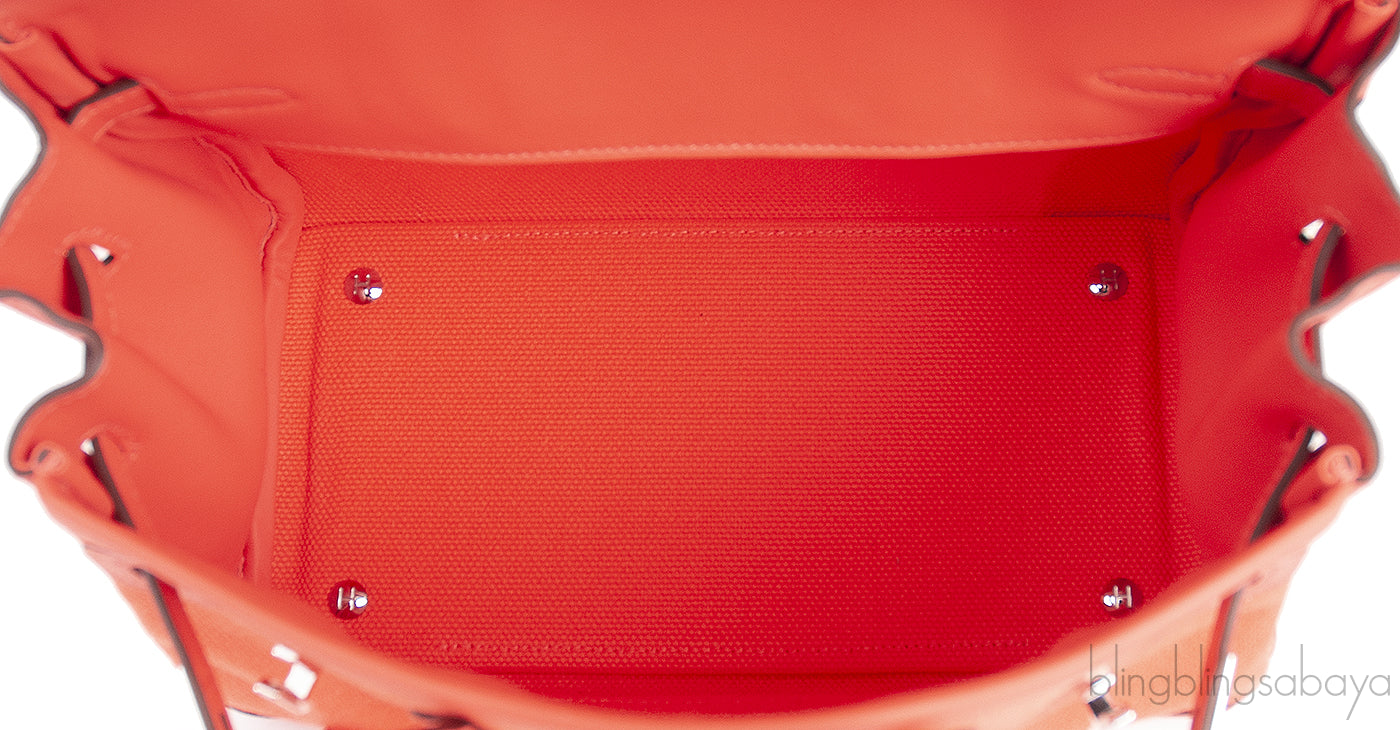 Birkin 25 Cargo Orange Field Toile Goeland Swift PHW