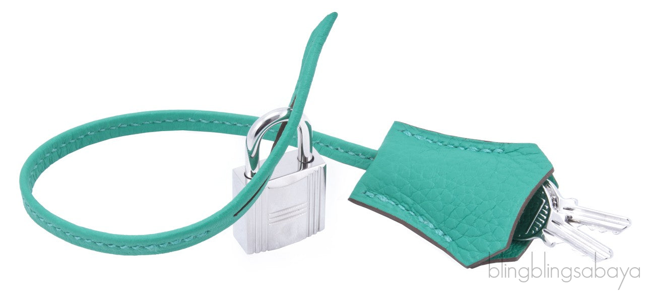 Birkin 35 Mint Taurillon Clem