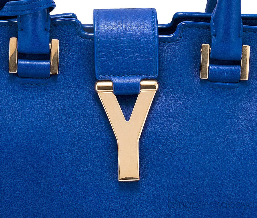 Petite Cabas Y Leather Tote