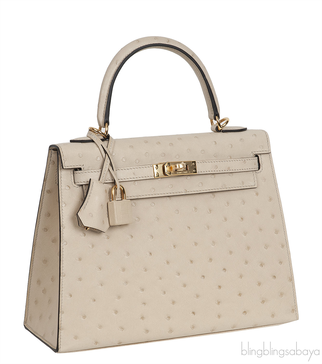 Kelly 25 Parchemin Ostrich GHW