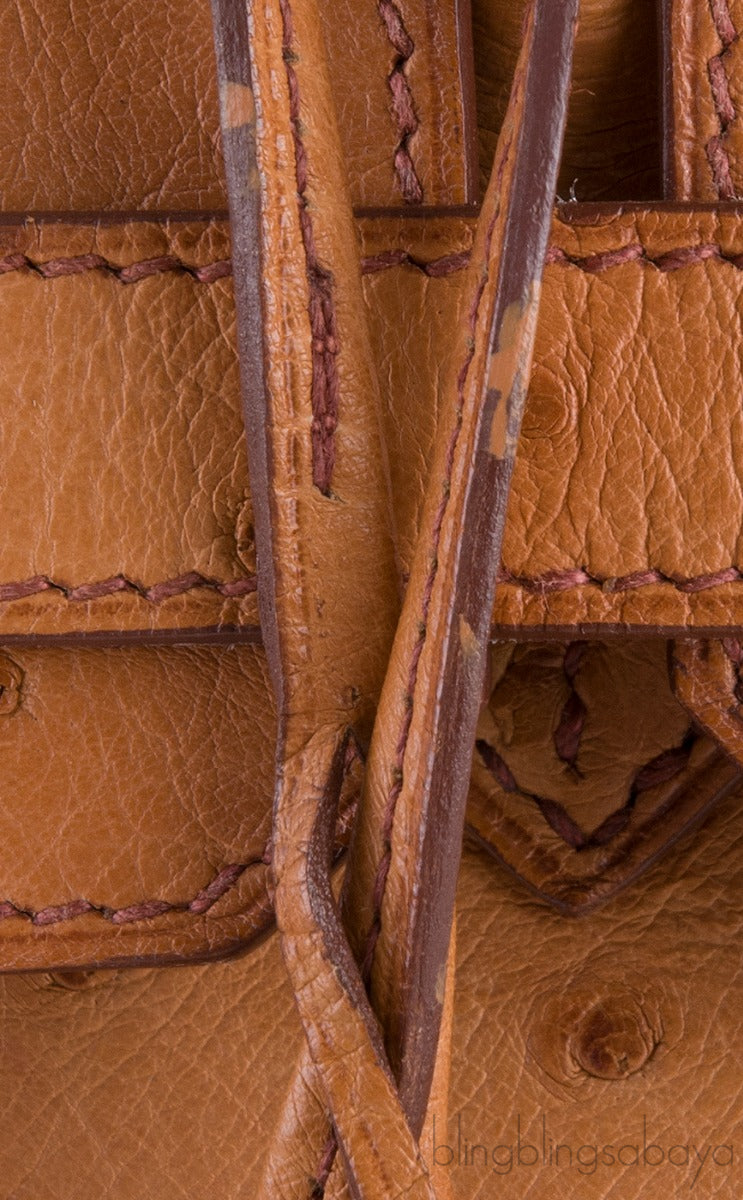 Birkin 30 Ostrich Cognac GHW