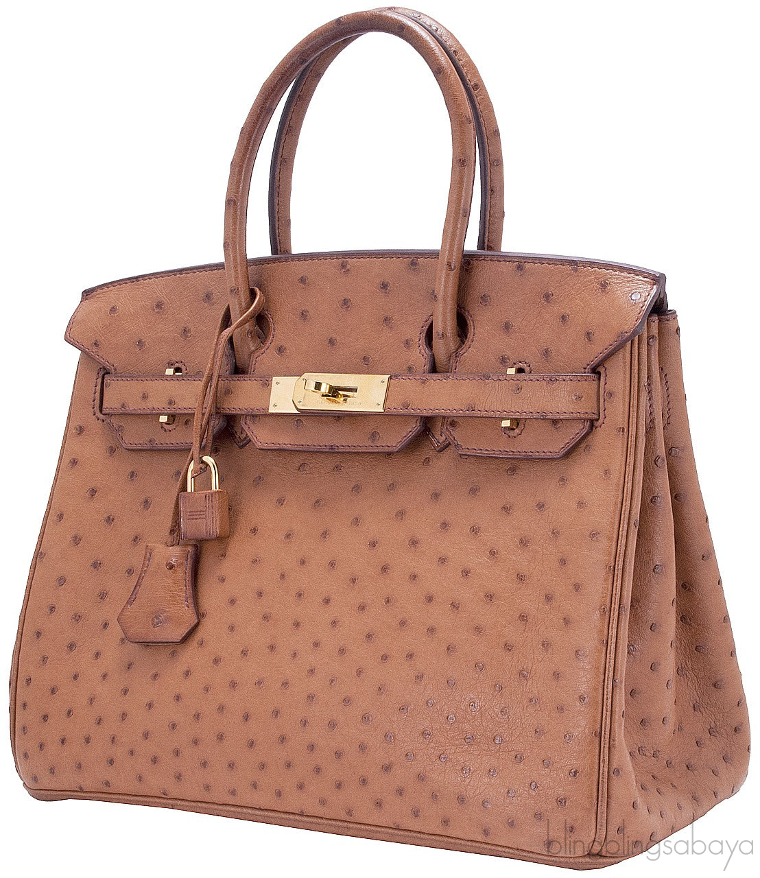Birkin 30 Cognac Ostrich GHW