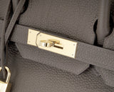 Birkin 30 Taupe Togo GHW