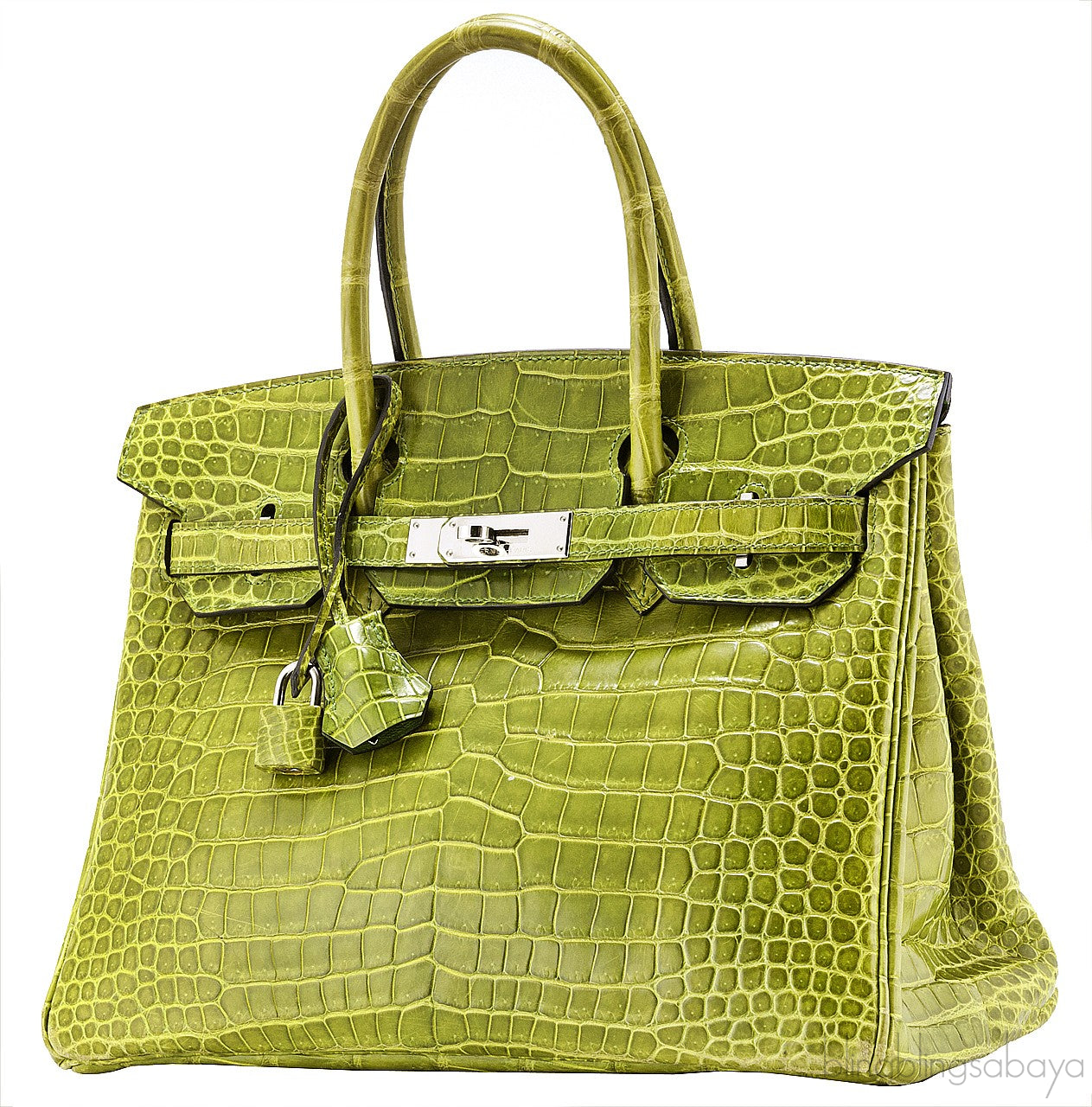 Birkin 30 Vert Pelouse Porosus