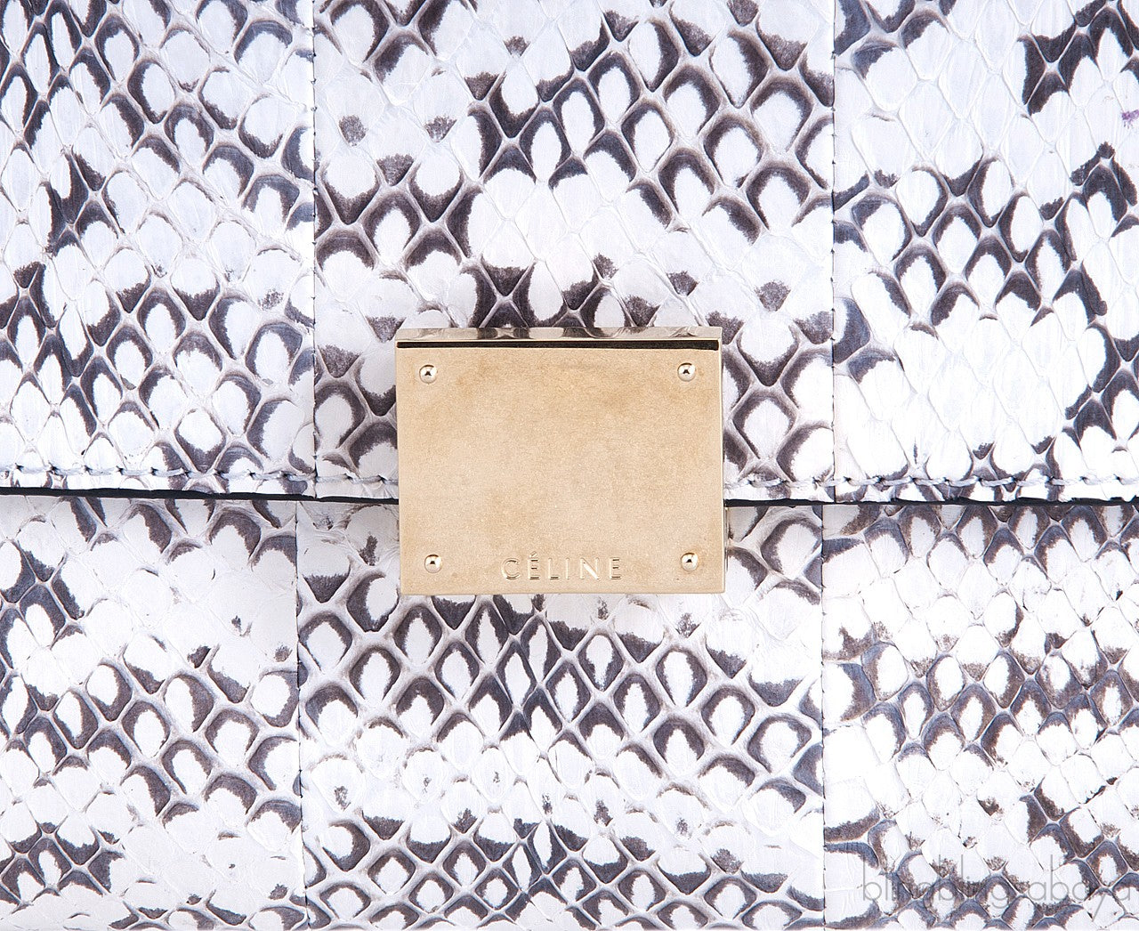 Trapeze Python Whip Bicolor