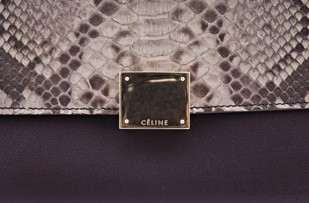 Tri color Python Trapeze Bag