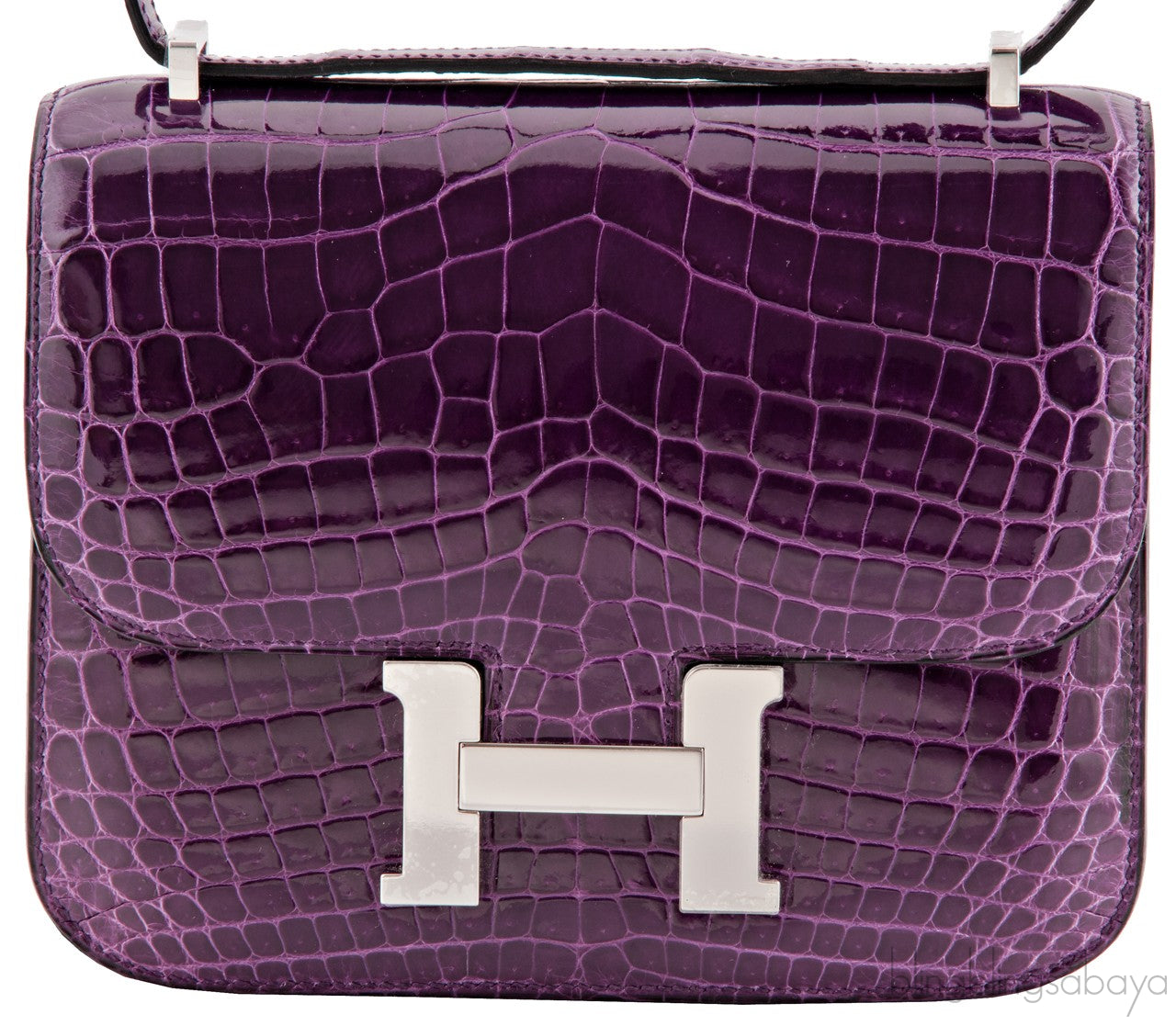 Constance III Purple Nilo Croco