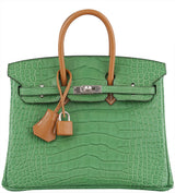 Birkin 25 Cactus Crocodile Natural Sable