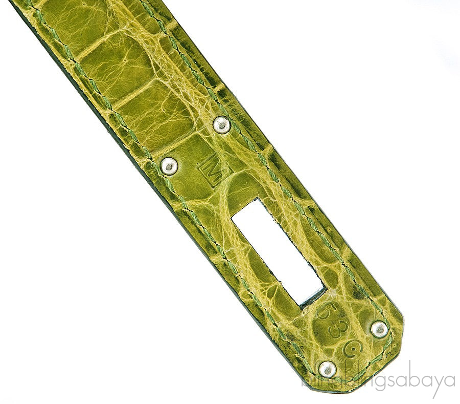 Birkin 30 Vert Pelouse Porosus