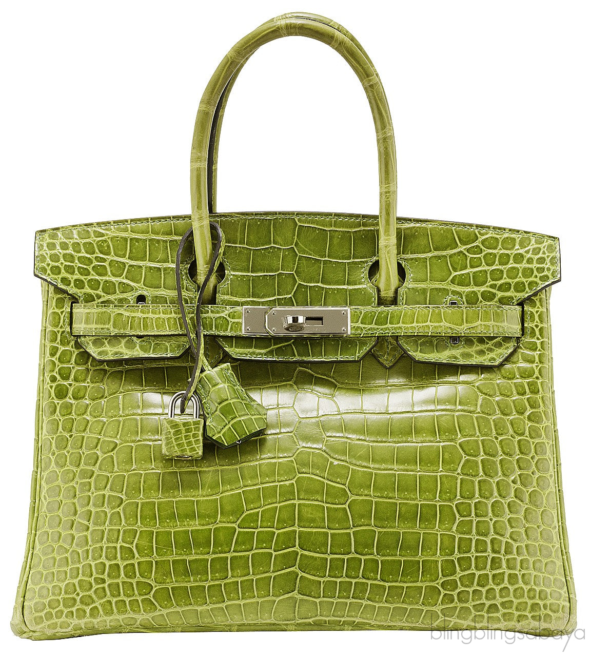 Birkin 30 Vert Pelouse Porosus