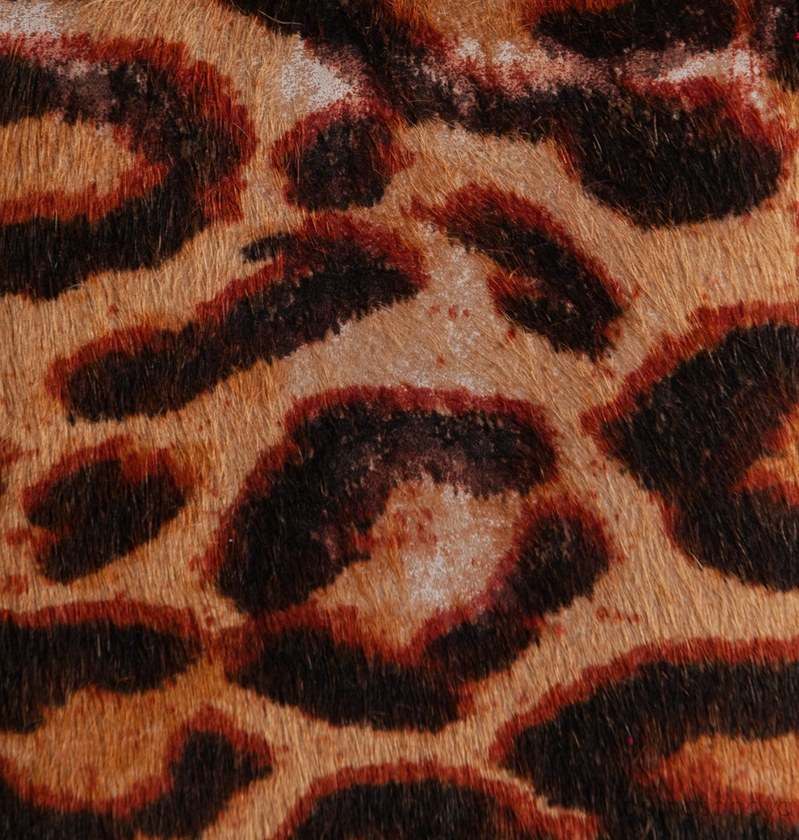 Dior Vintage Leopard Ponyhair Gambler Wallet