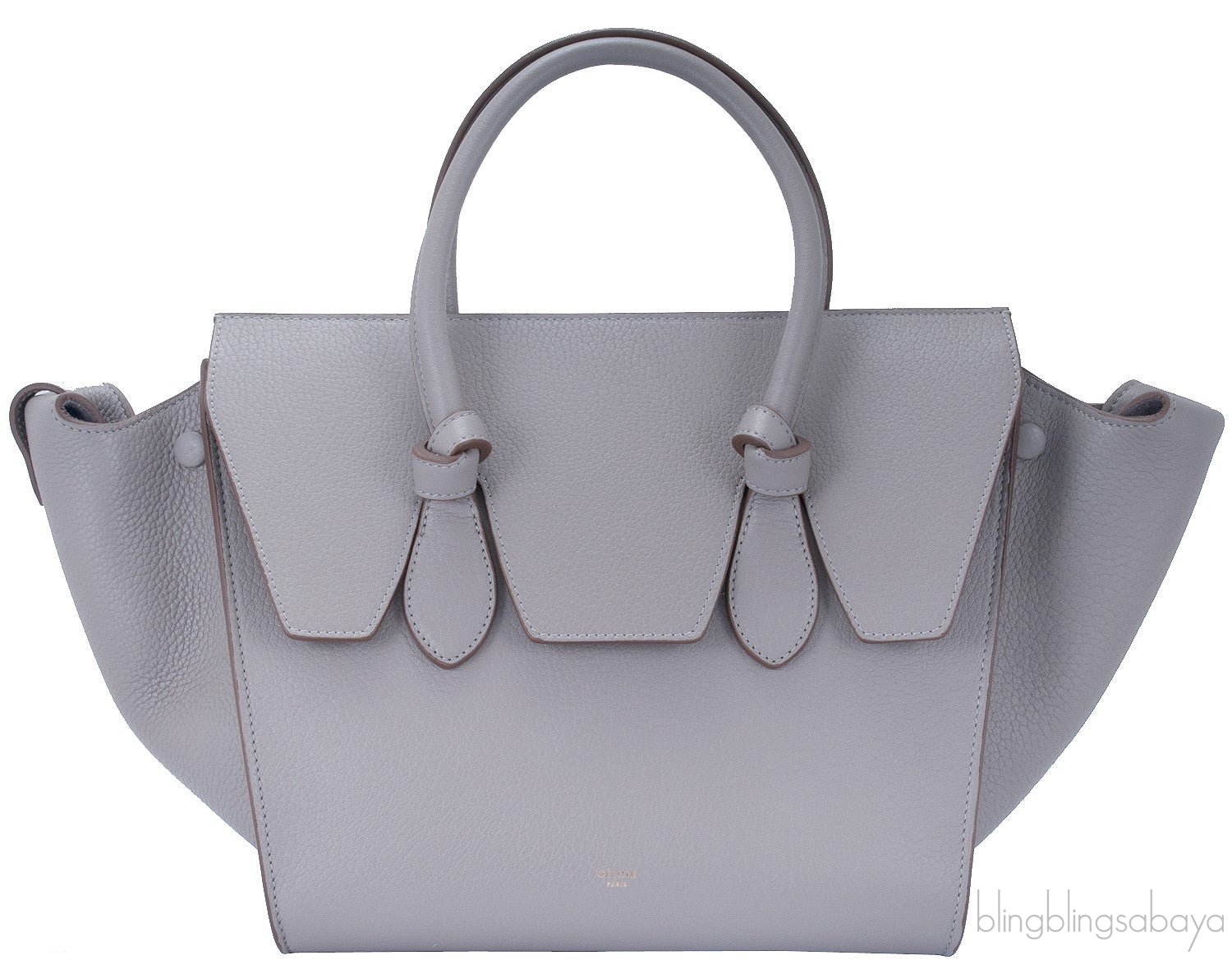Taupe Leather Tie Tote Bag