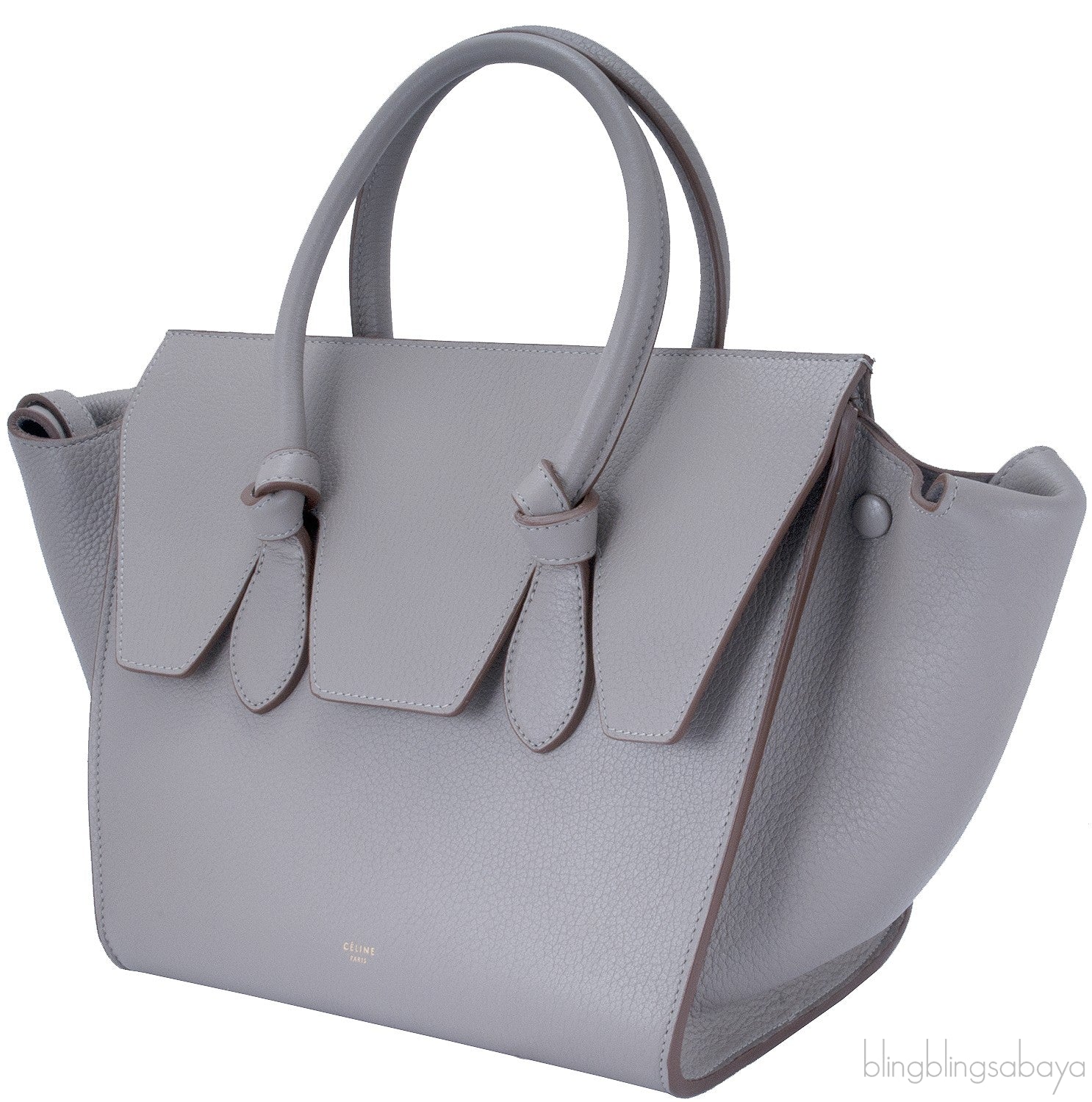Taupe Leather Tie Tote Bag