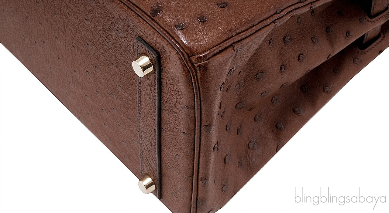 Birkin 30 Etrusque Chocolate Ostrich
