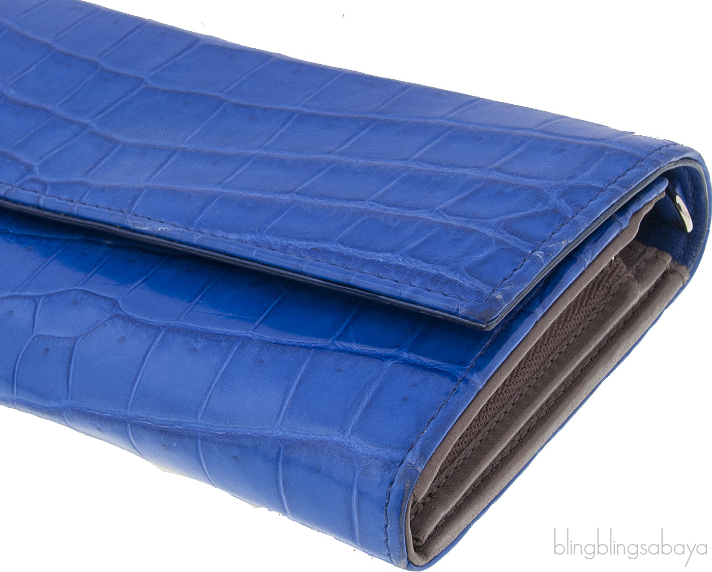 Blue Crocodile Wallet on Chain