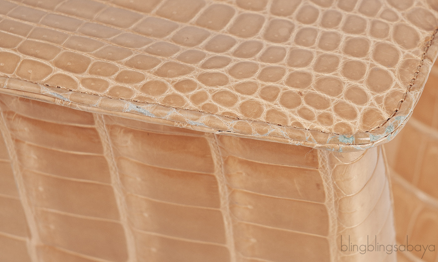 Beige Cornelia Lunch Box Crocodile Bag
