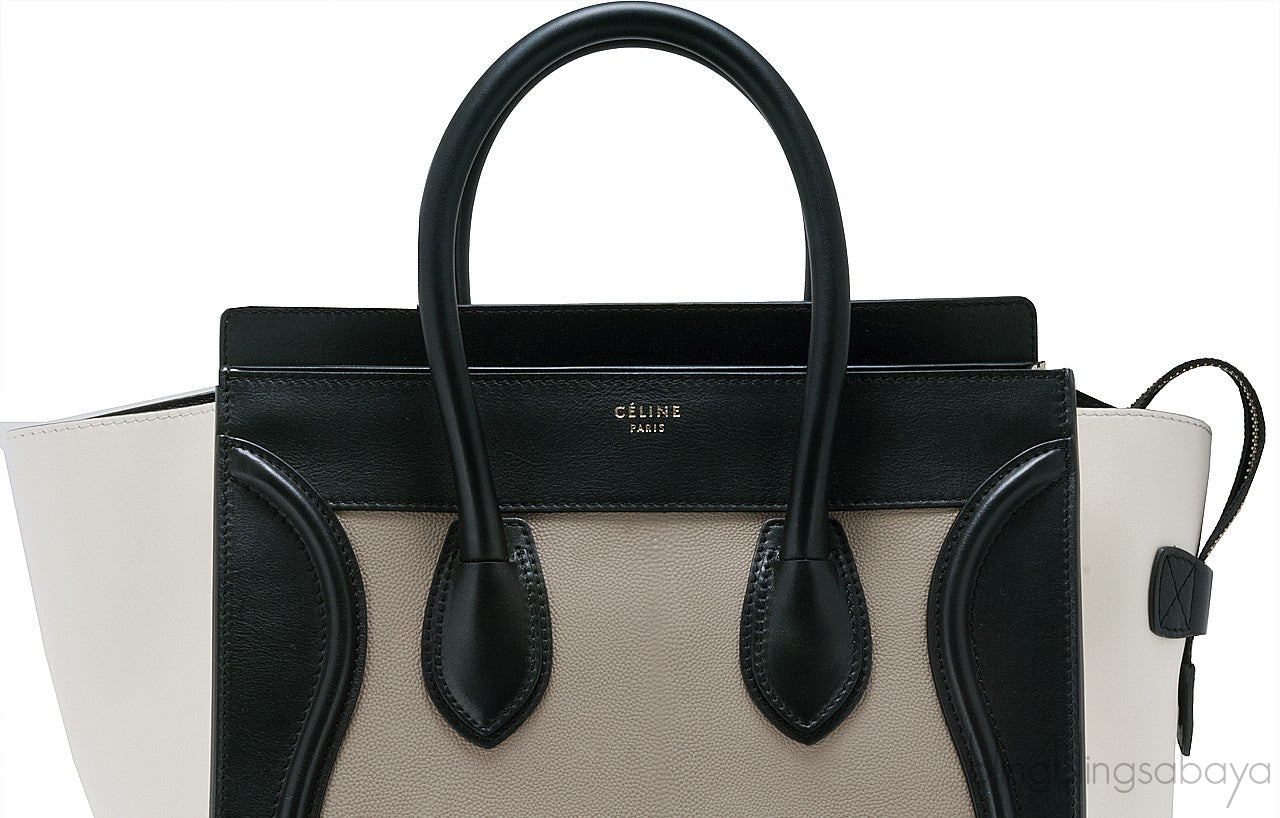 Tricolor Mini Luggage