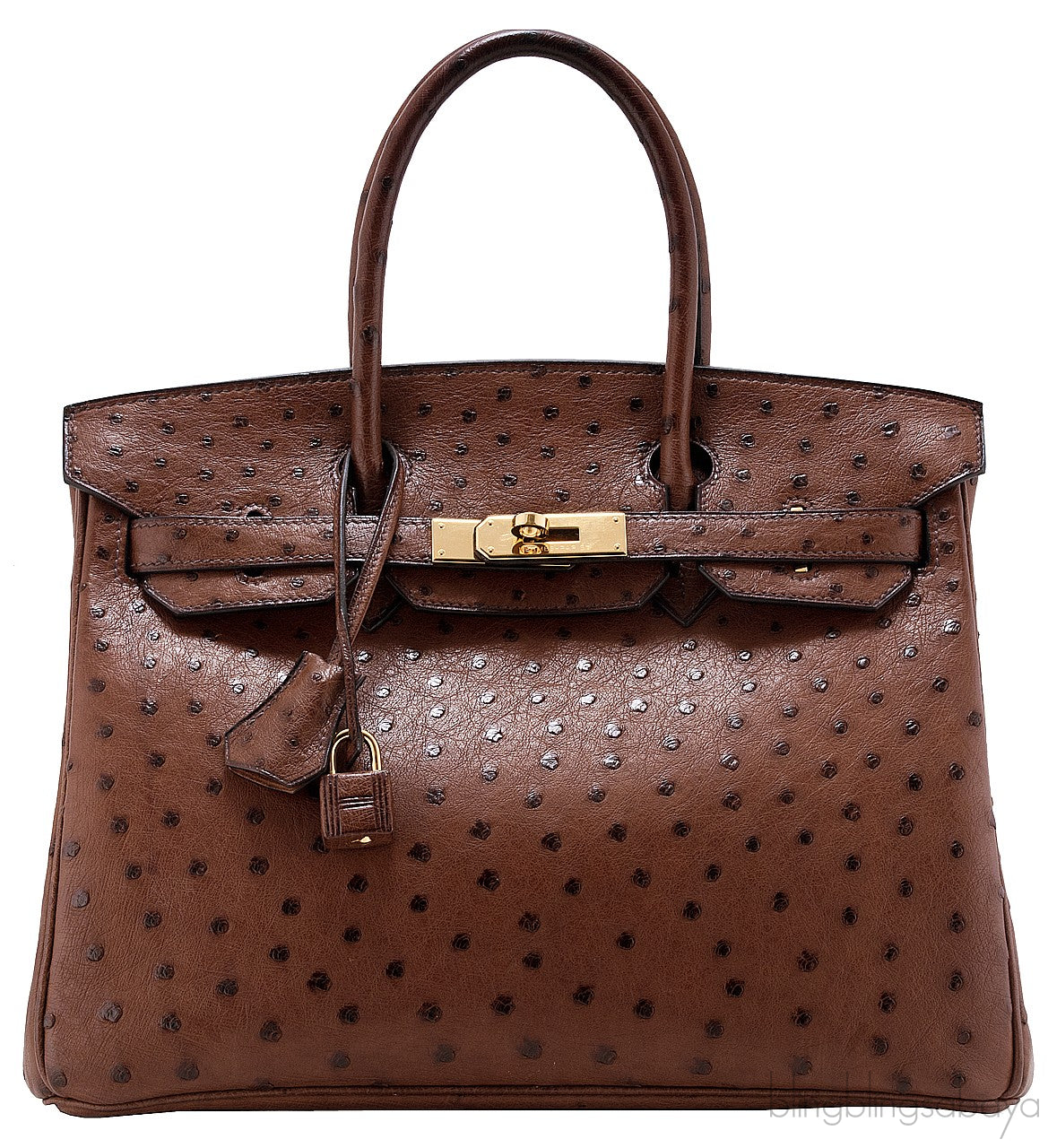 Birkin 30 Etrusque Chocolate Ostrich