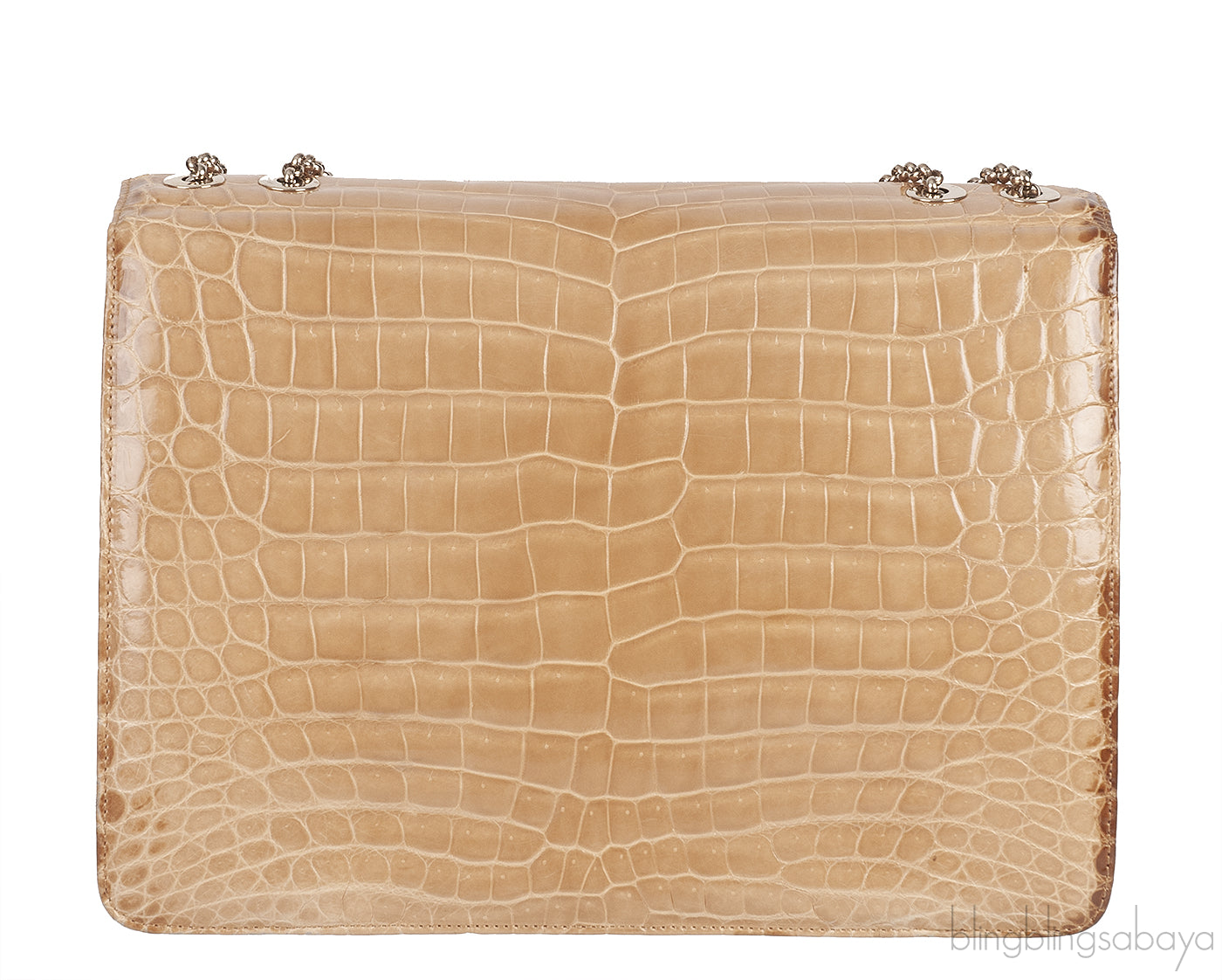 Beige Cornelia Lunch Box Crocodile Bag