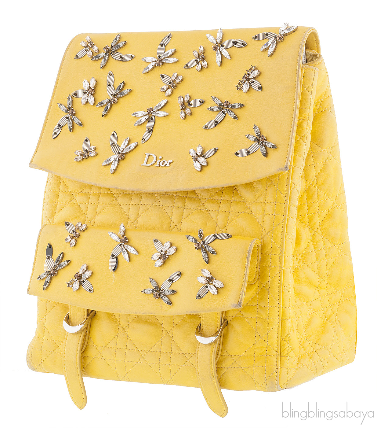 Dior Embroidered Stardust Backpack