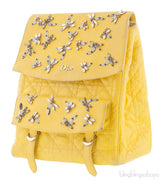 Dior Embroidered Stardust Backpack