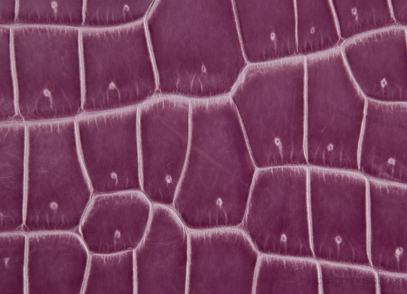 Saigon PM Purple Crocodile Bag