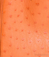 Birkin 30 Tangerine Ostrich PHW