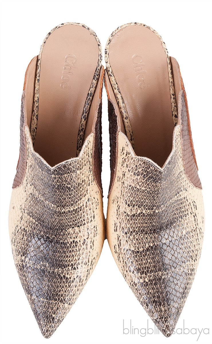 Pointed Multicolor Lauren Mules