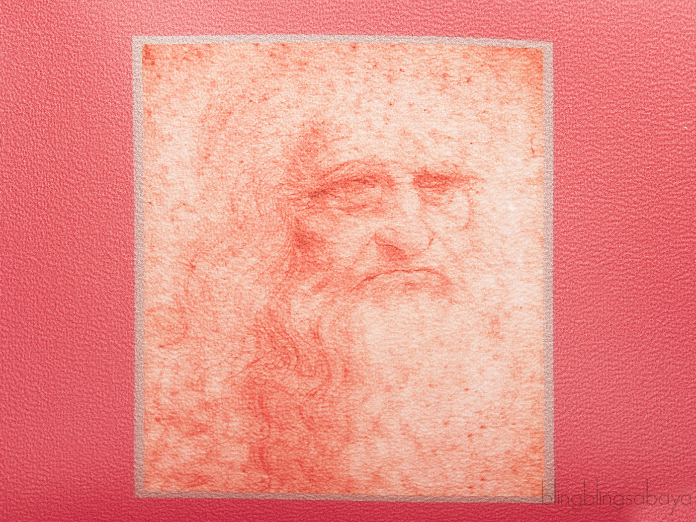 Da Vinci Zippy Wallet