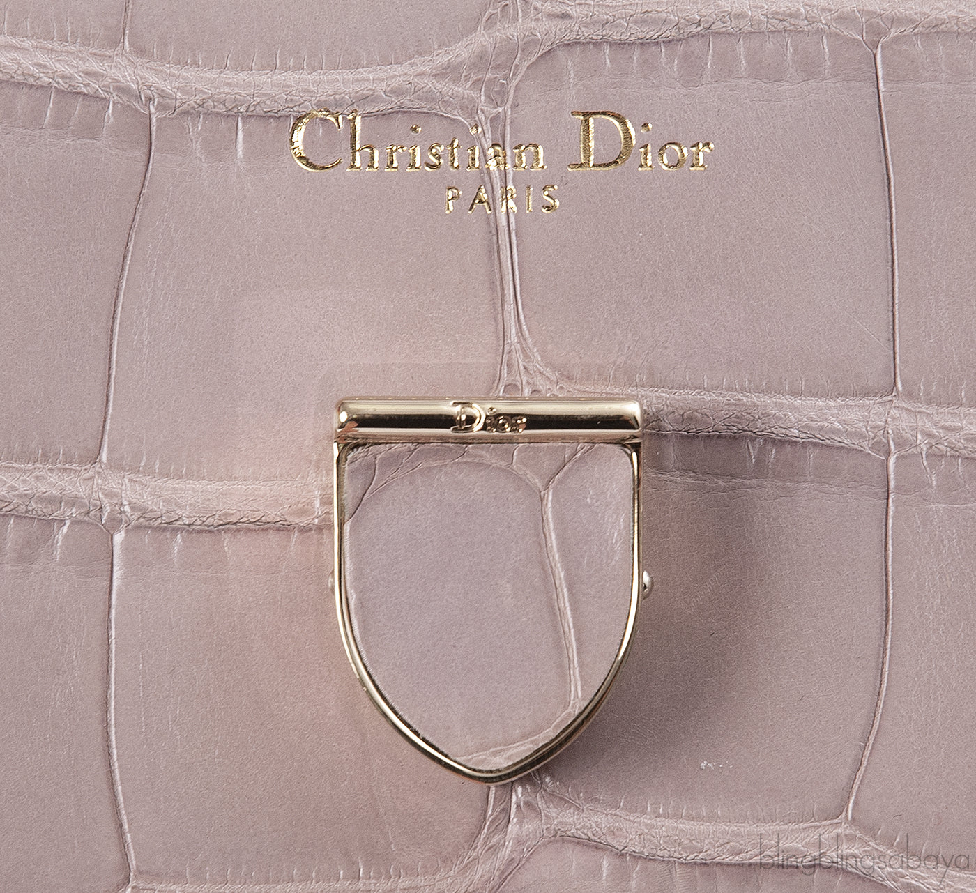 Christian Dior Diorever Crocodile Medium Bag