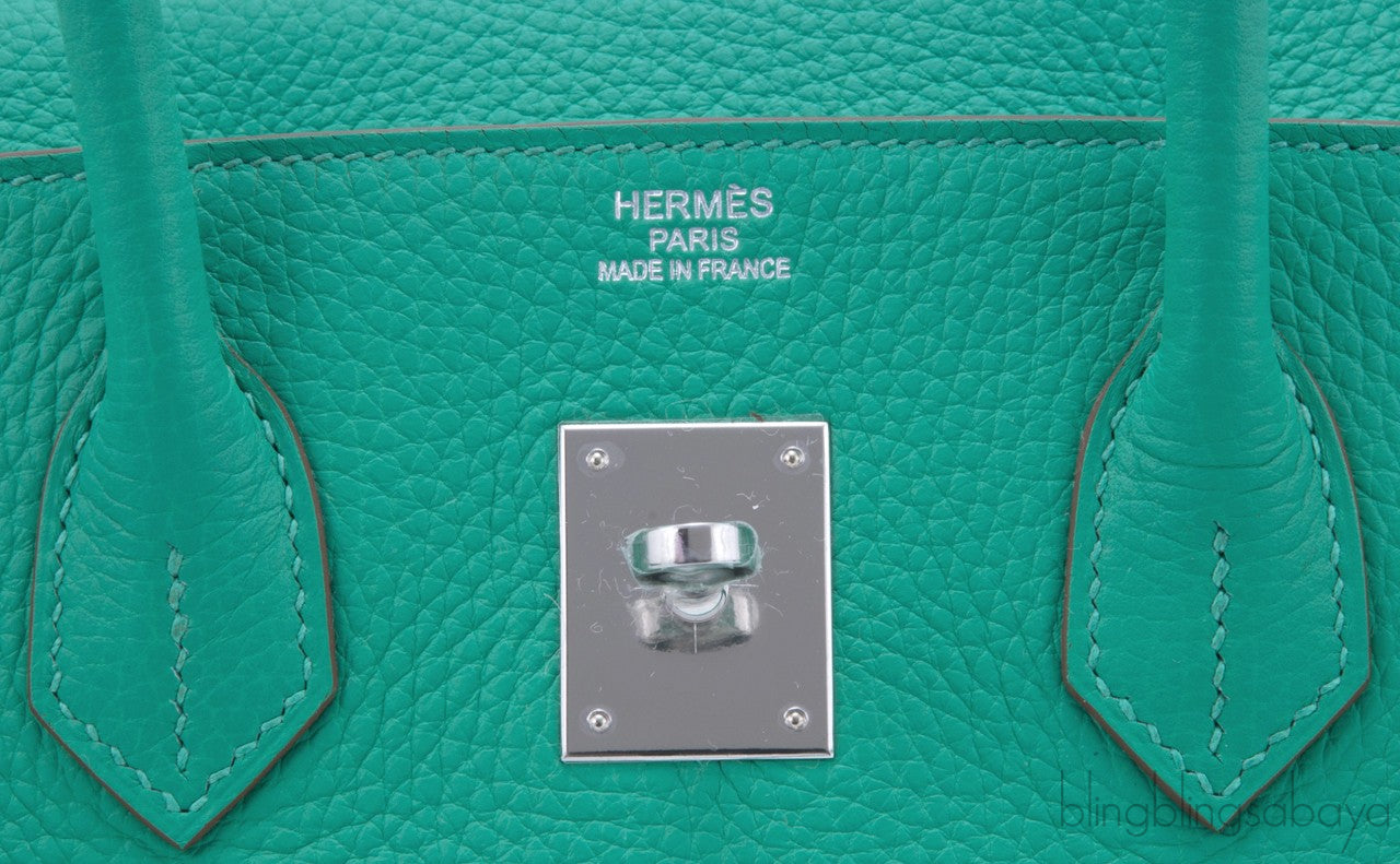 Birkin 35 Mint Taurillon Clem