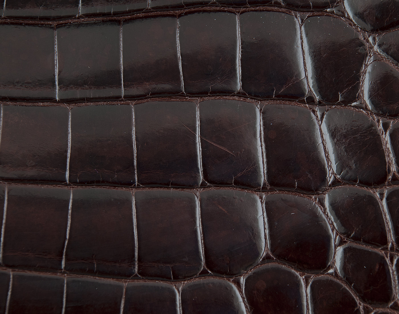 Birkin 30 Dark Brown Crocodile