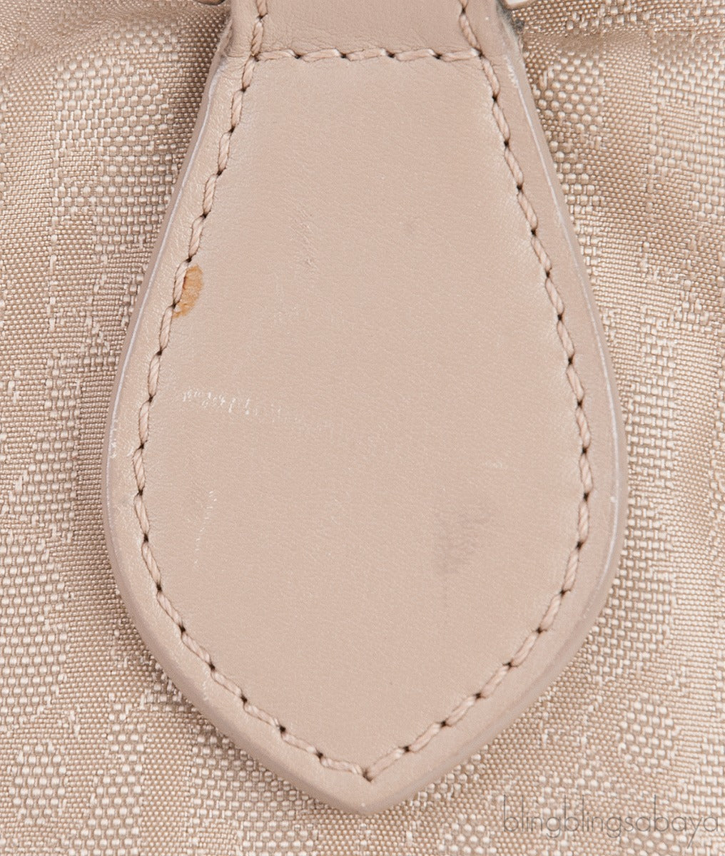 Christian Dior Oblique Canvas & Leather Multi-Pocket Bag