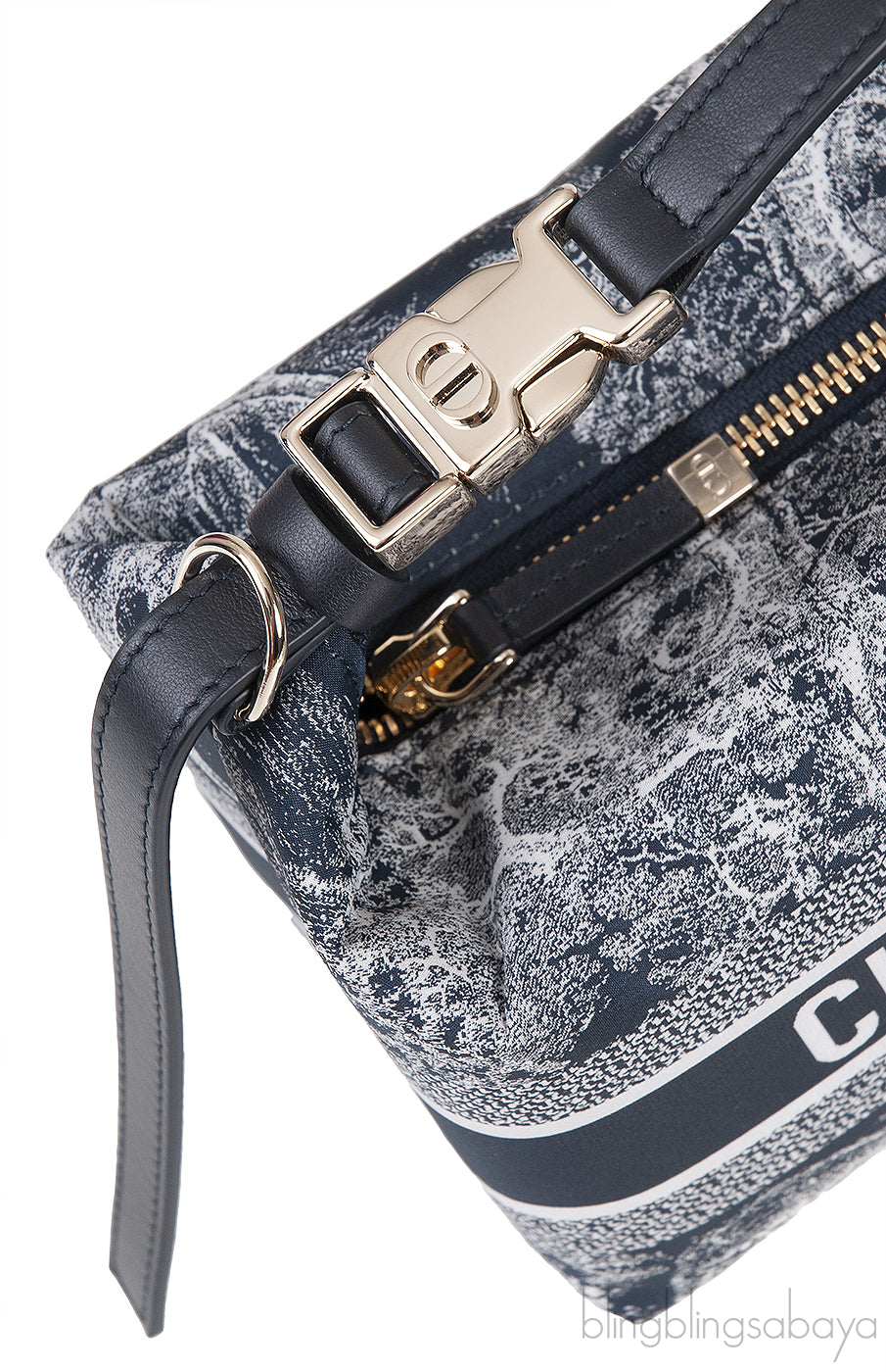 Medium DiorTravel Nomad Pouch