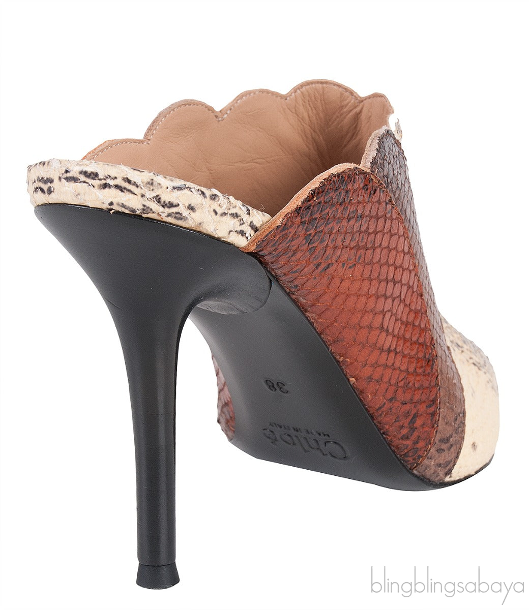 Pointed Multicolor Lauren Mules