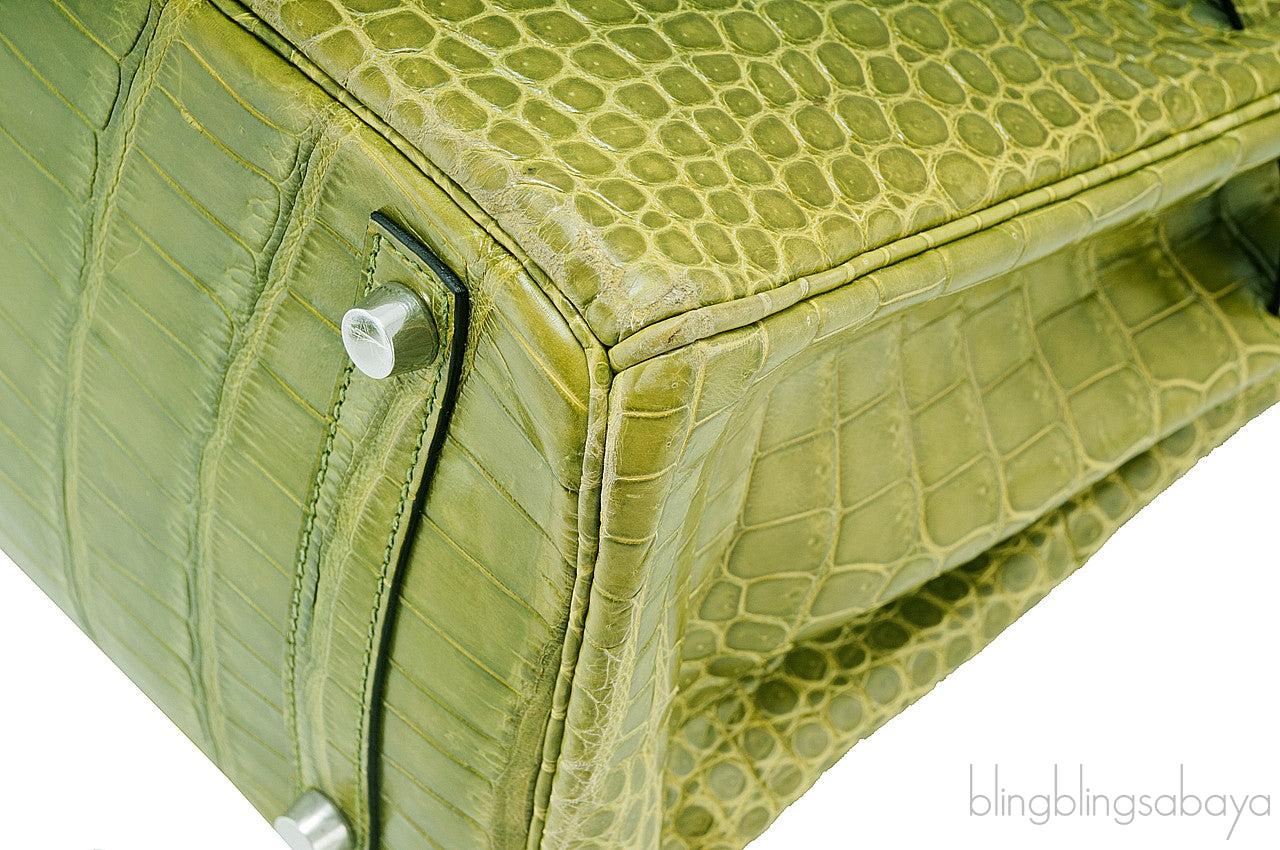 Birkin 30 Vert Pelouse Porosus