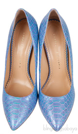 Monroe Python Large Scales Pump