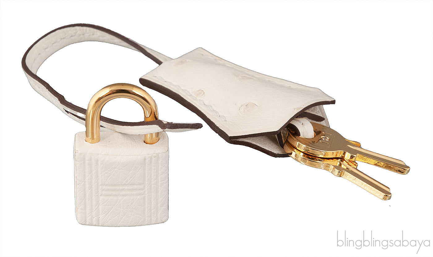 Birkin 25 Boreal Nata Ostrich GHW