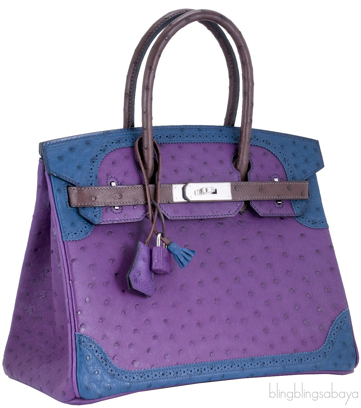 Birkin 30 Tri-color Ghillies Ostrich