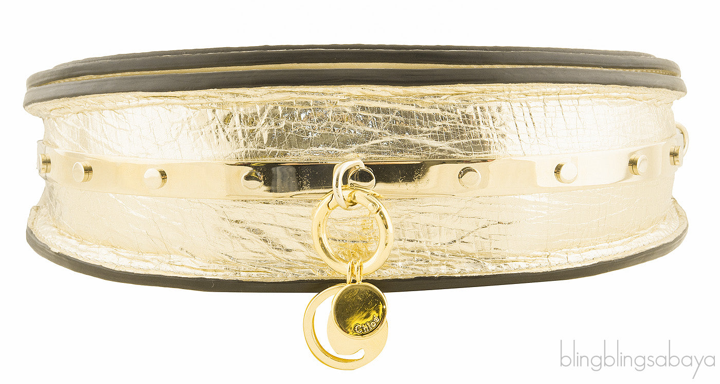 Metallic Gold Nile Minaudiere Clutch