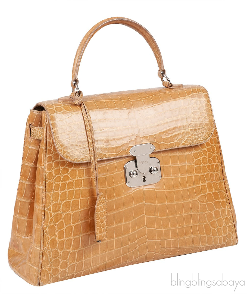 Brown Crocodile Large Handbag