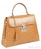 Brown Crocodile Large Handbag