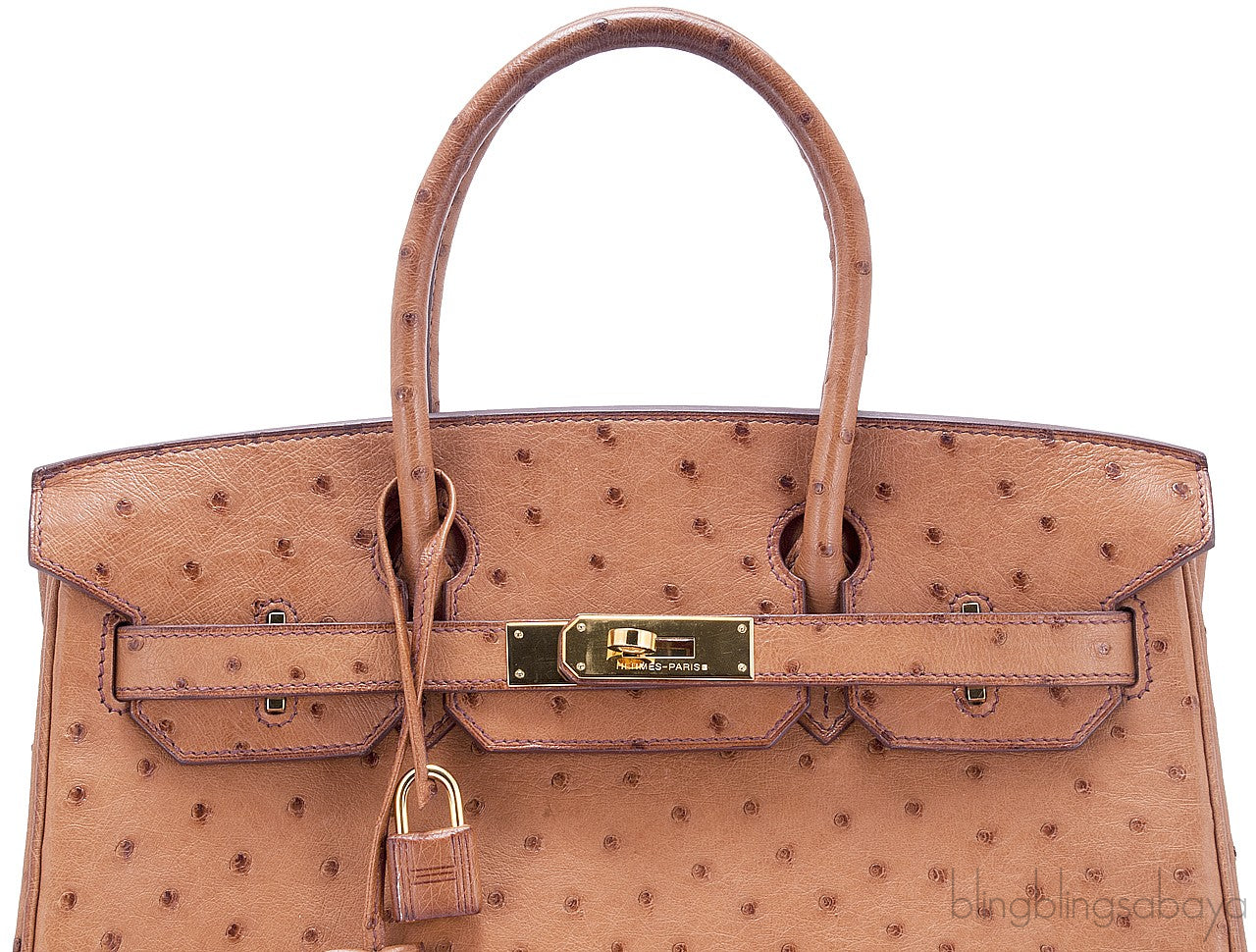 Birkin 30 Cognac Ostrich GHW