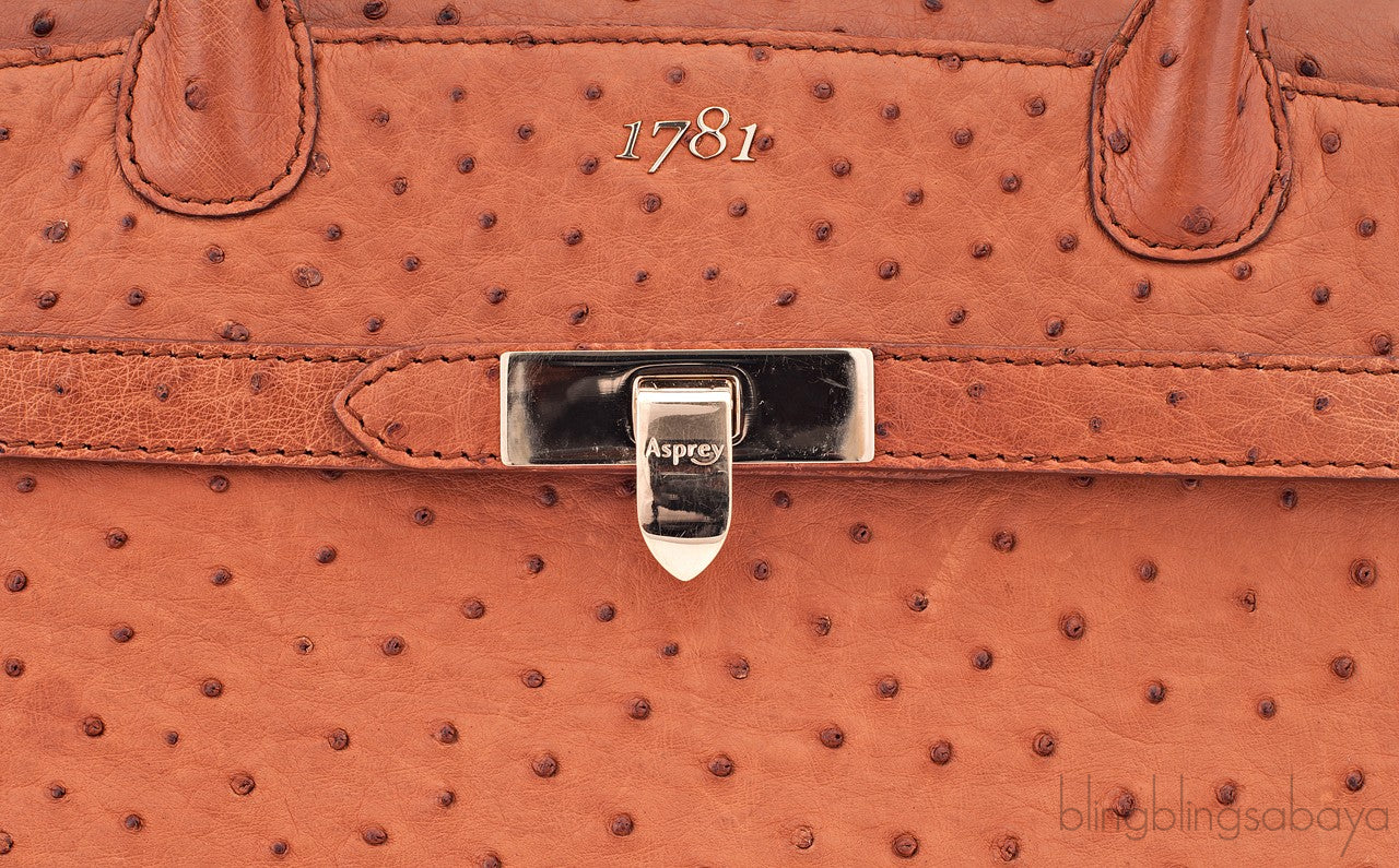 1781 Baby Stretch Cognac Ostrich