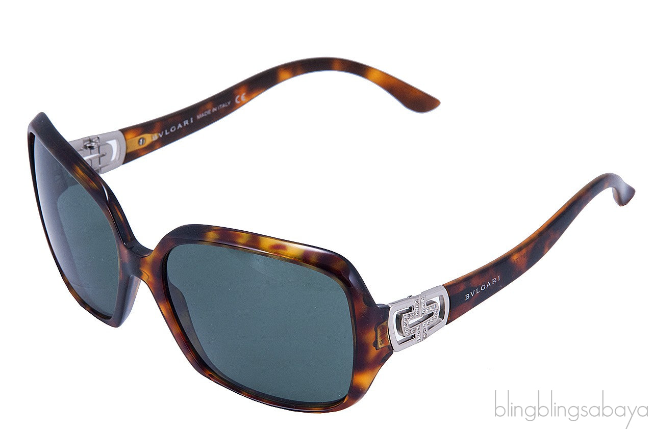 Brown Sunglasses