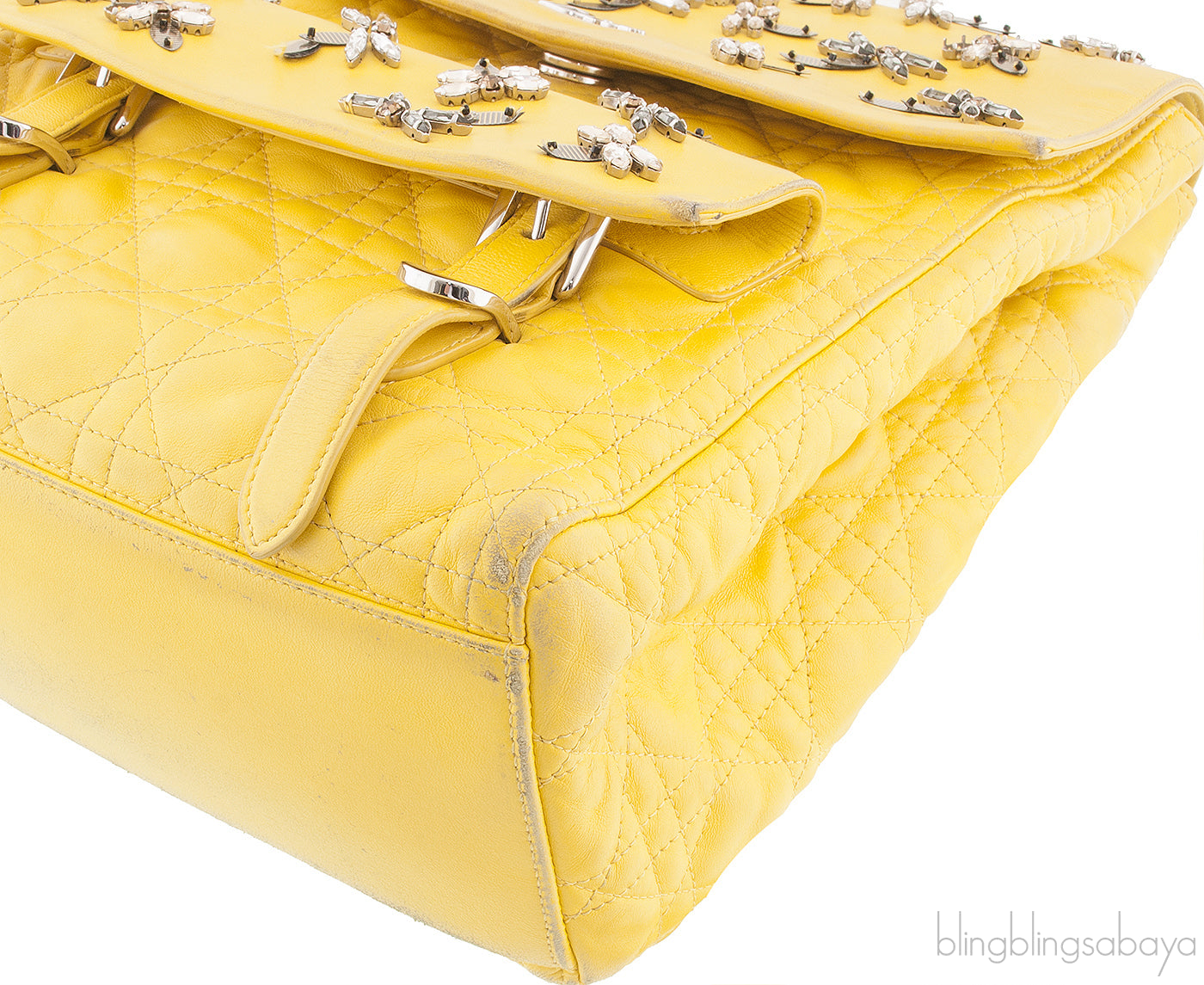 Dior Embroidered Stardust Backpack